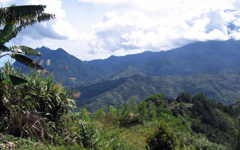 Kinabalu Park with Poring Hot Spring and Desa Farm